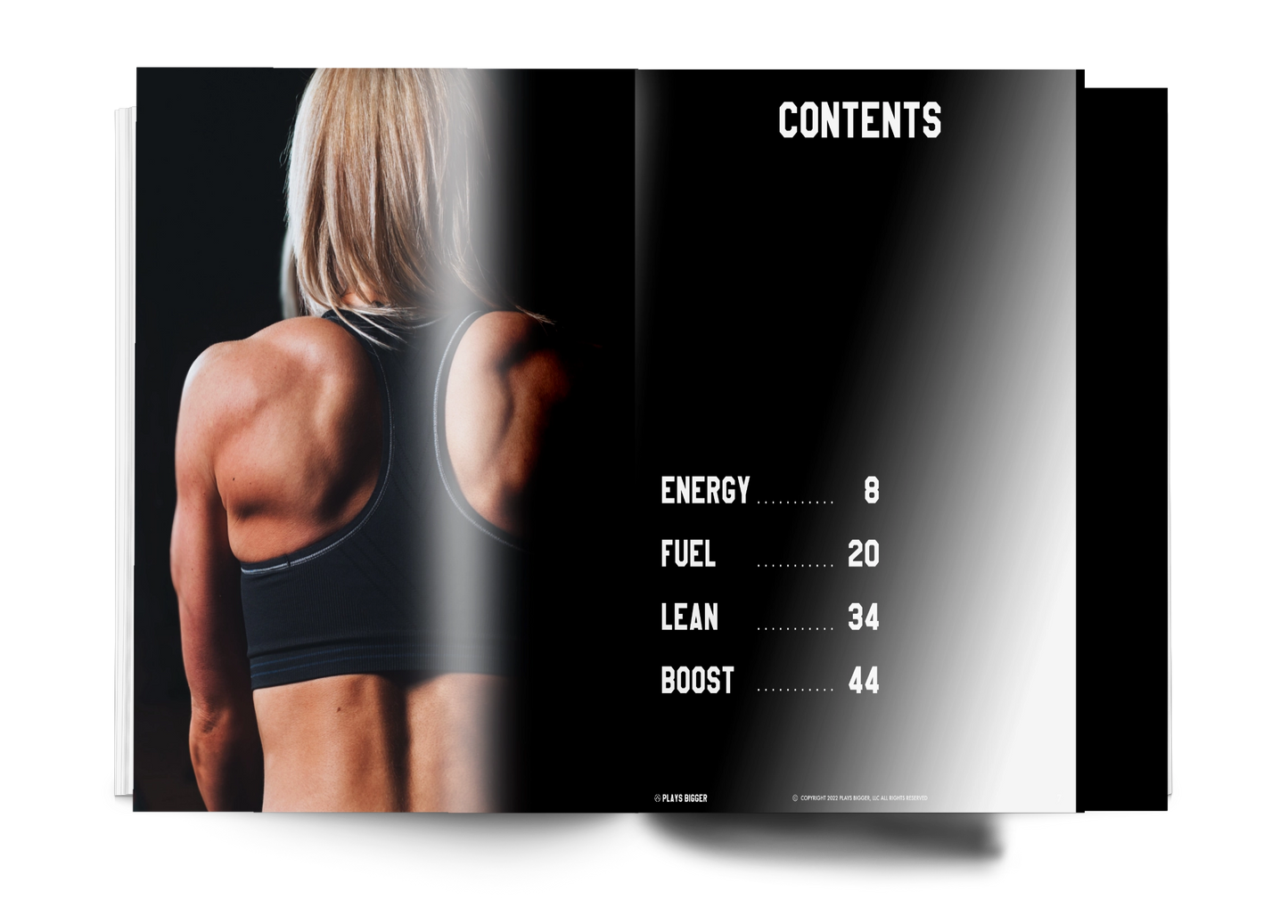 The Protein Playbook (Digital Download)